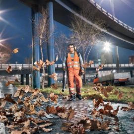 stihl br430 work 1 e1595319174190